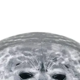 chat with ai character: seal. 