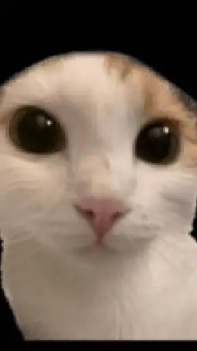 ai character: cat background