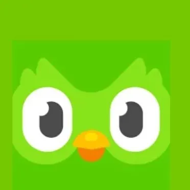 chat with ai character: Duolingo owl