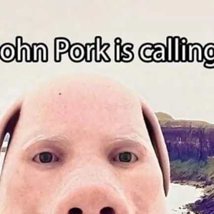 chat with ai character: John pork
