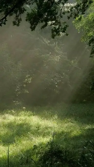 ai character: crea tu Historia background