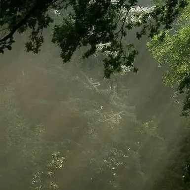 chat with ai character: crea tu Historia