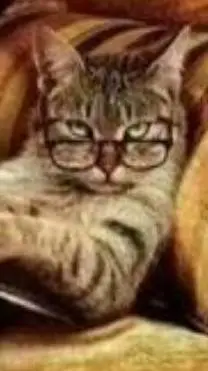 ai character: ciberpunk-dicelpun background