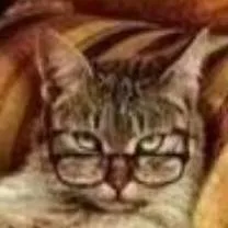 chat with ai character: ciberpunk-dicelpun