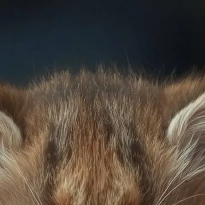 chat with ai character: sad kitten