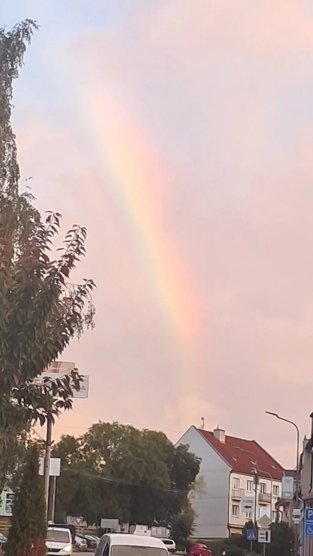 ai character: Jergus background