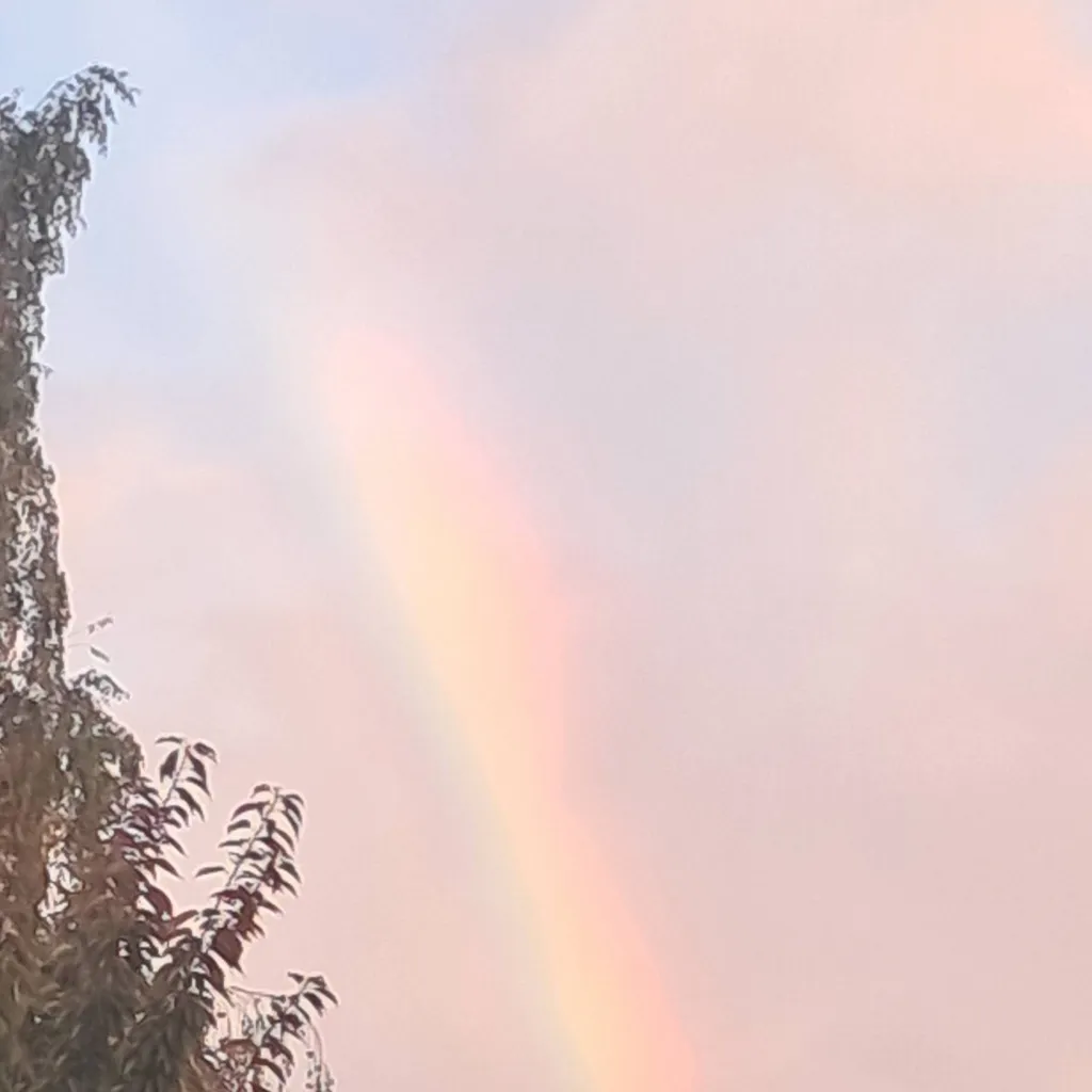 chat with ai character: Jergus