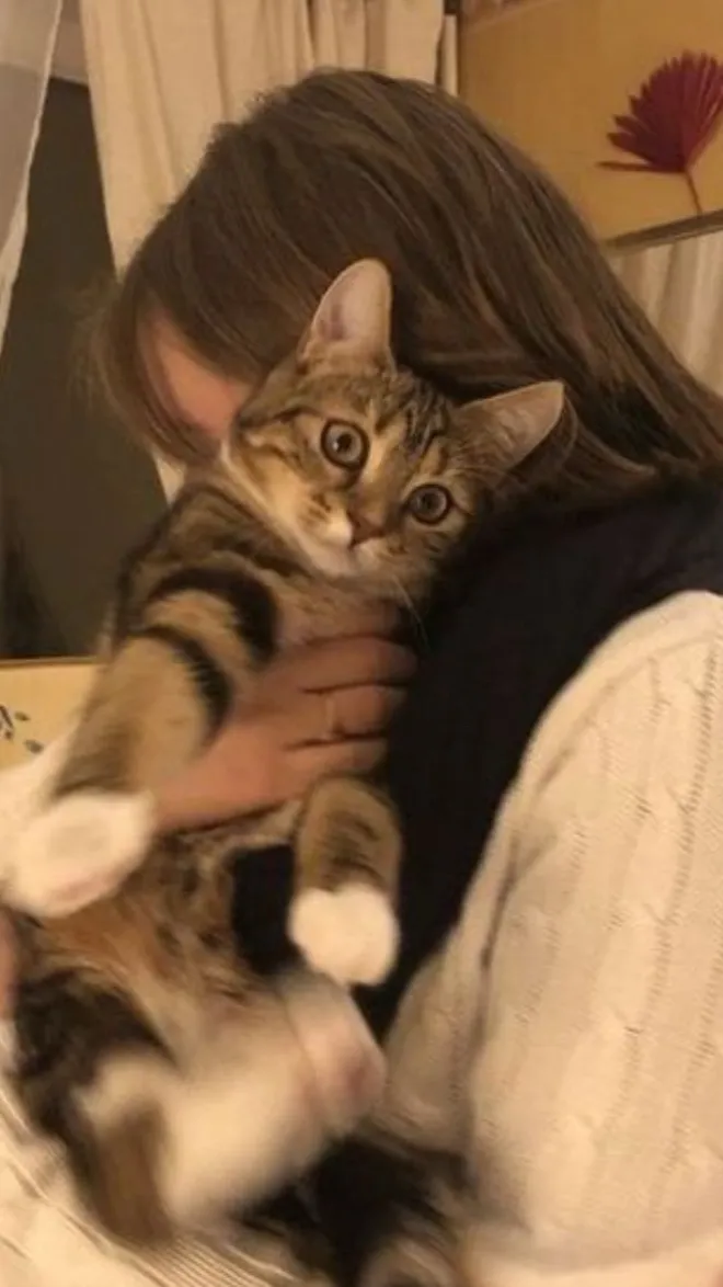 ai character: Adi background