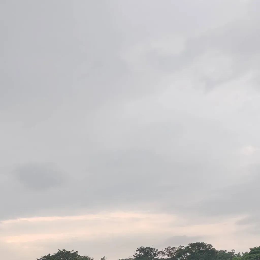 chat with ai character: Pokemon au