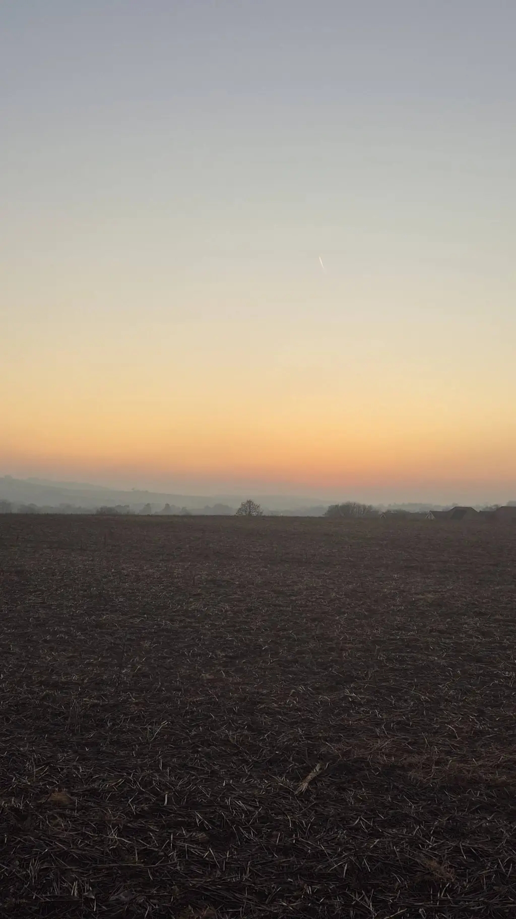 ai character: arlo background