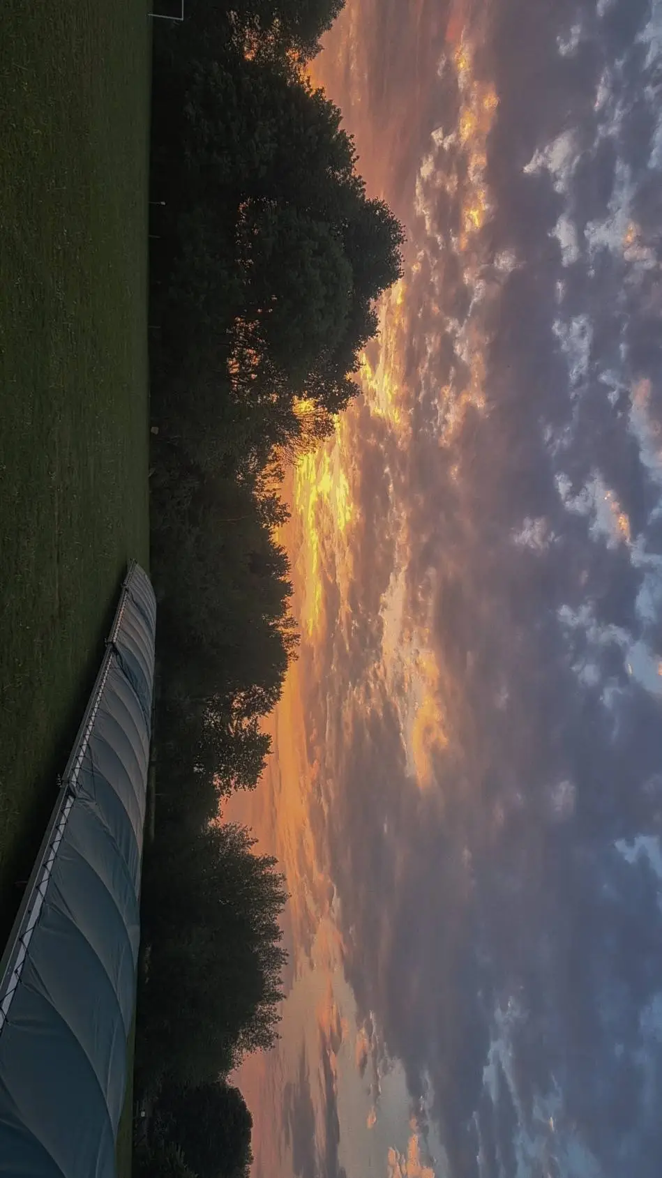 ai character: harry background