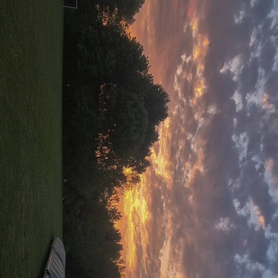 chat with ai character: harry