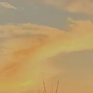 chat with ai character: lucas