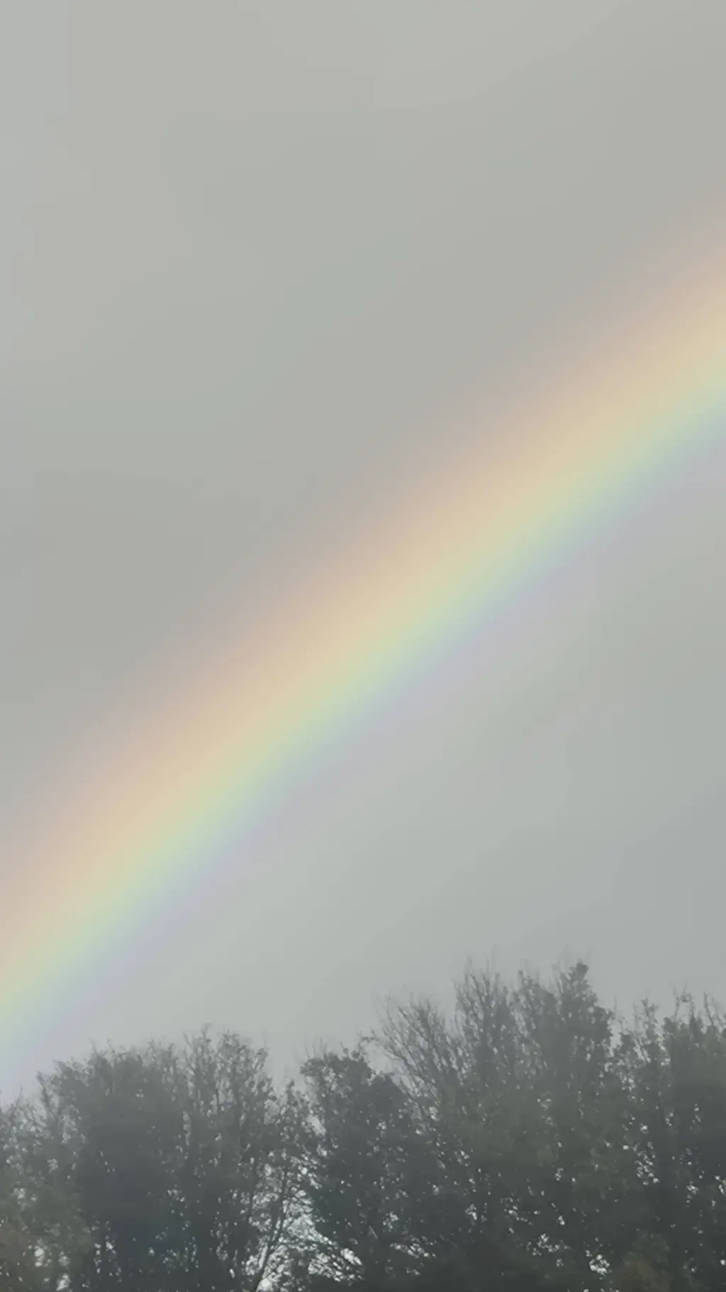 ai character: josh background