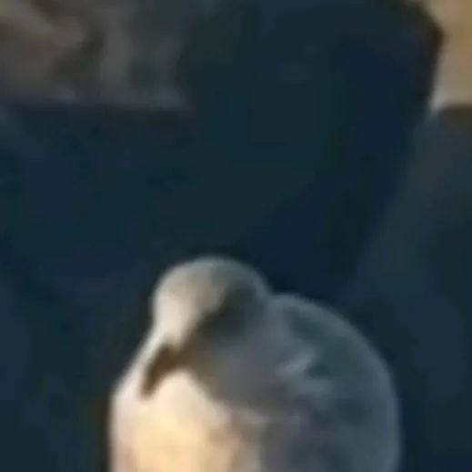 chat with ai character: school sleepover 