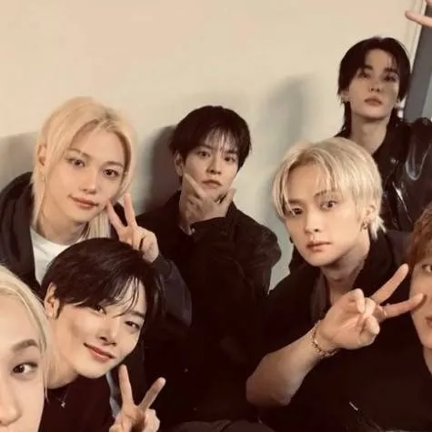 chat with ai character: Straykids!🍓🫶🏻 ^^.