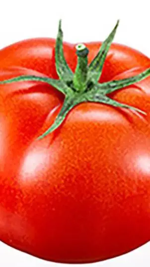 ai character: TOMATO MAN background
