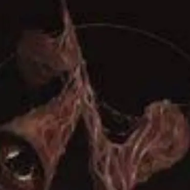 chat with ai character: siren head
