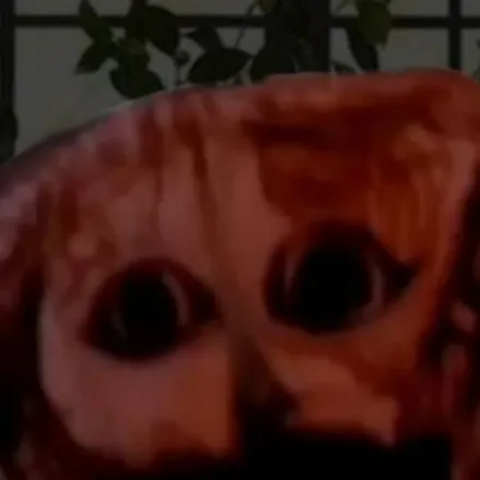 chat with ai character: the boiled one