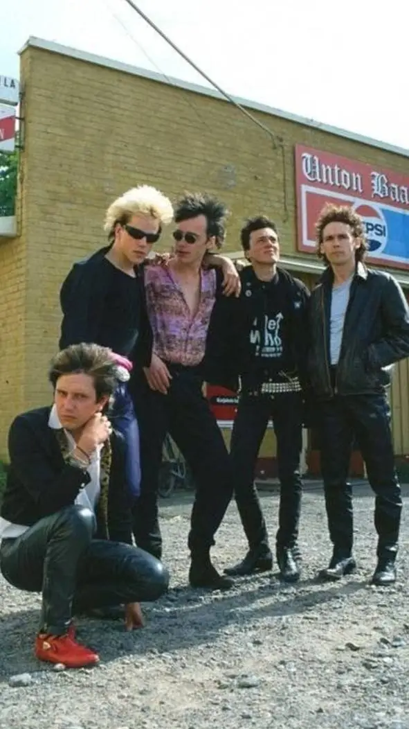 ai character: Dingo background