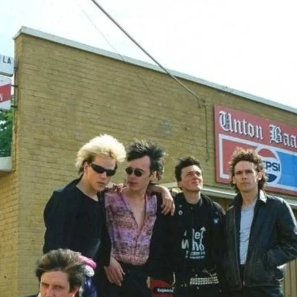 chat with ai character: Dingo