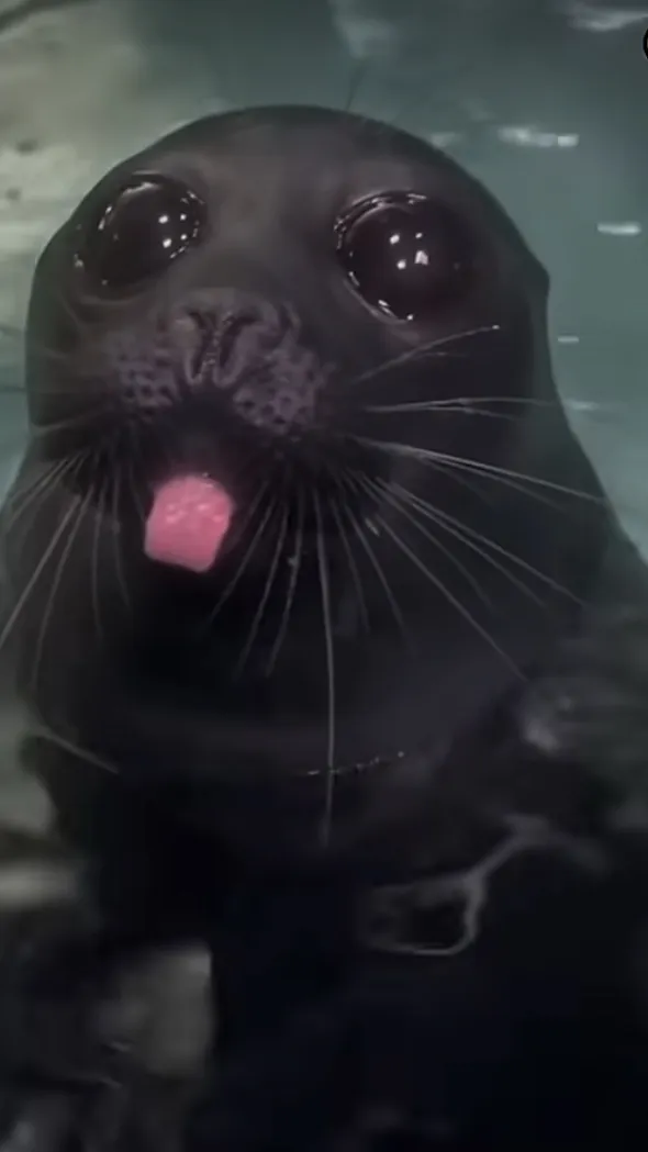 ai character: Dw sleepover! background