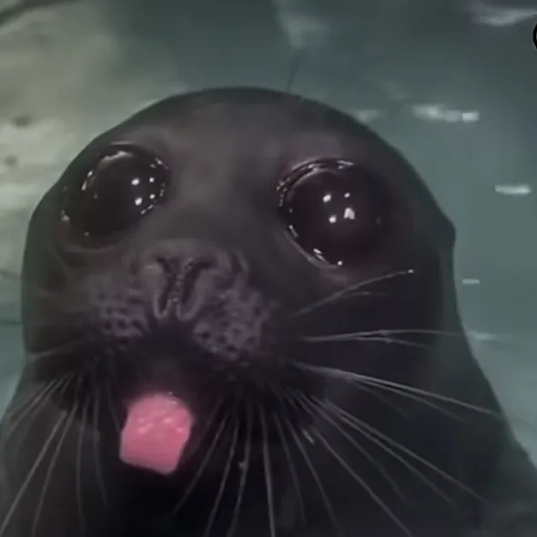 chat with ai character: Dw sleepover!