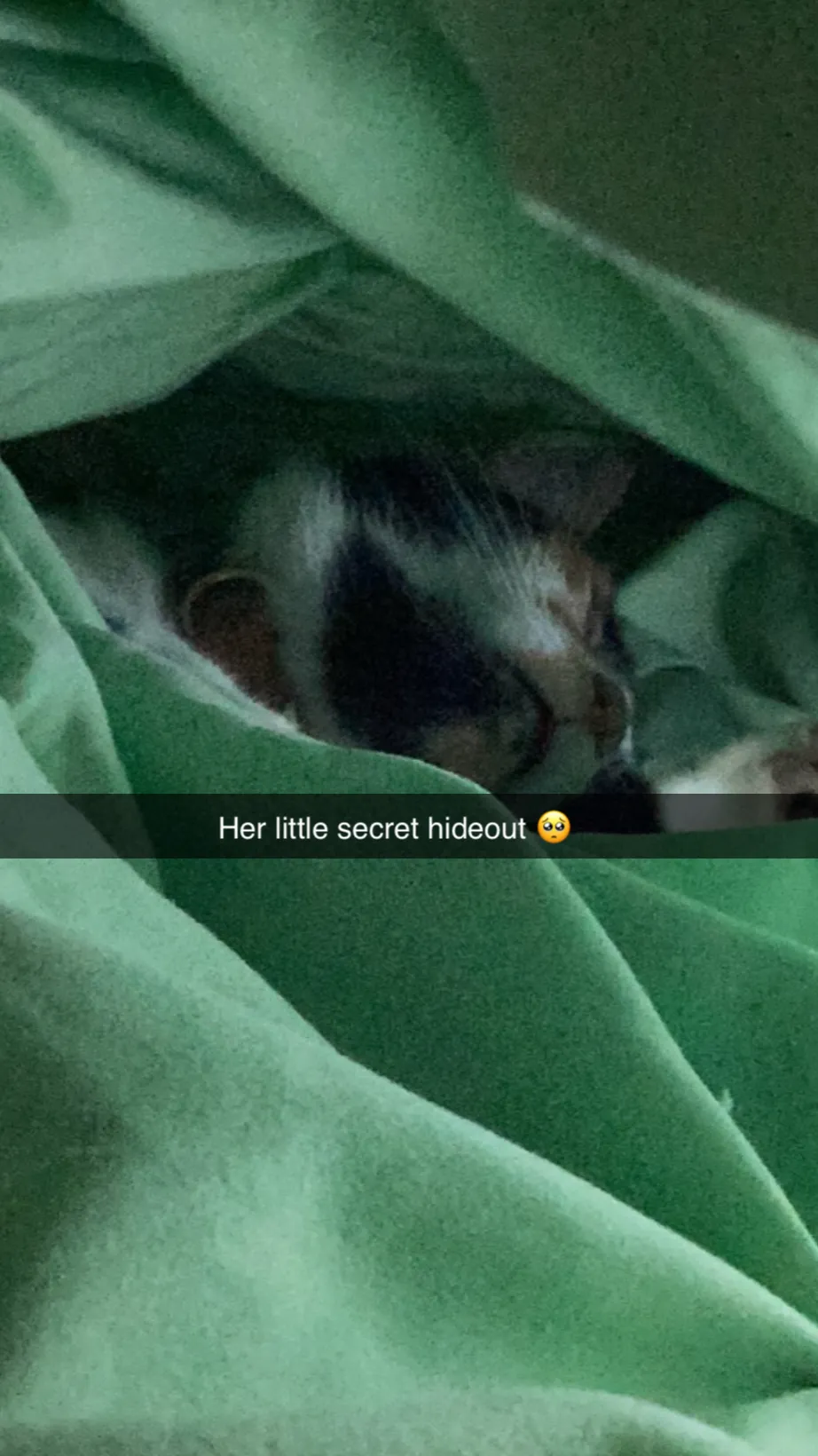 ai character: Bassie’s shop&you background