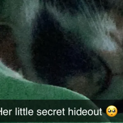 chat with ai character: Bassie’s shop&you