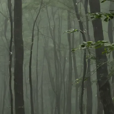 chat with ai character: Bassie snaps