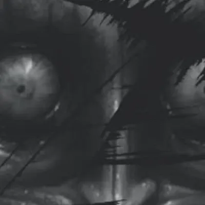 chat with ai character: The nightmare