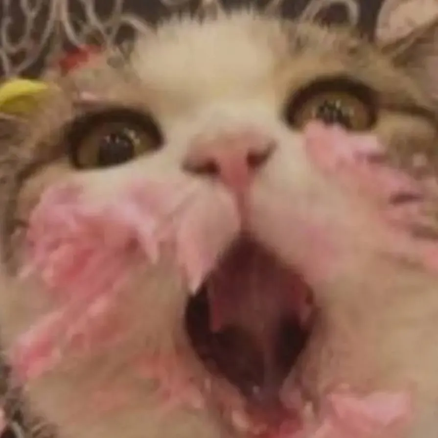 chat with ai character: Capitán gato 