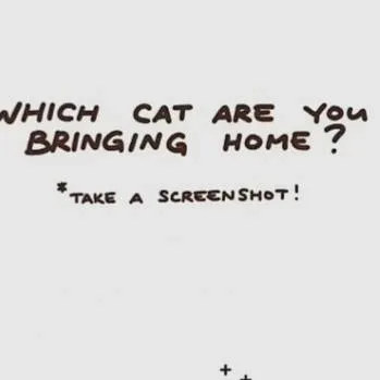 chat with ai character: kny pick me