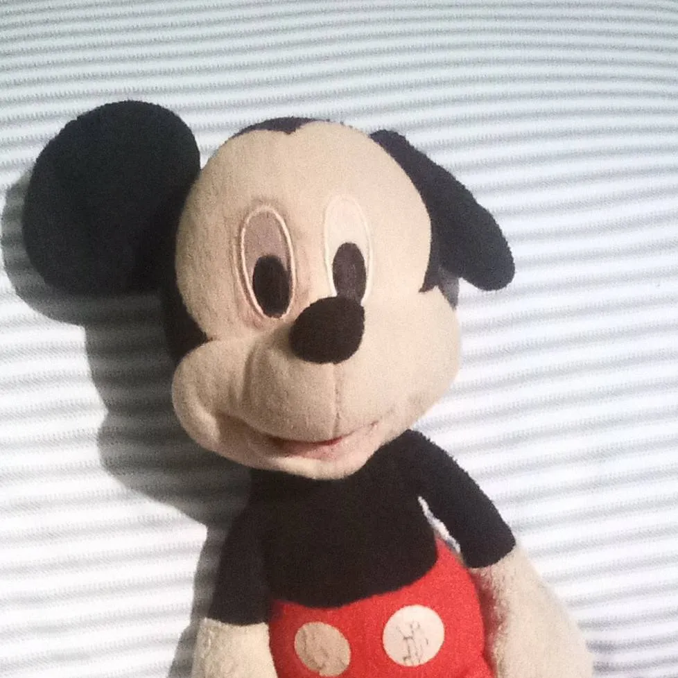 chat with ai character: master mickey