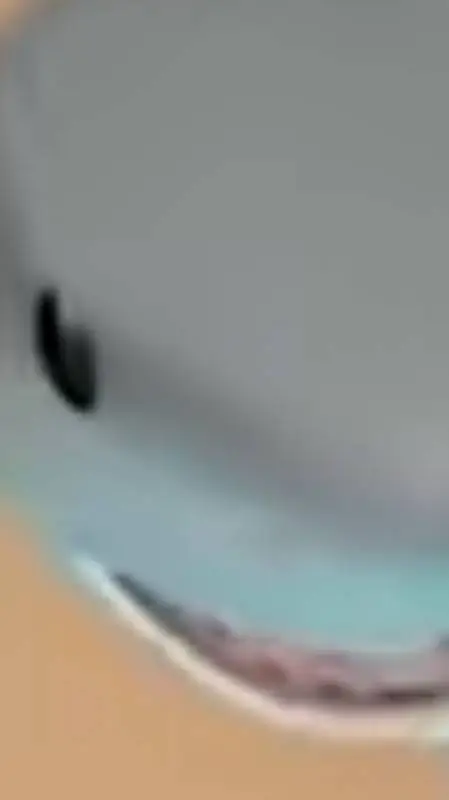 ai character: sharky the shark background