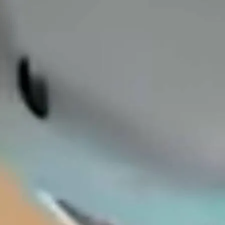 chat with ai character: sharky the shark