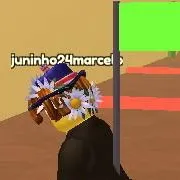 chat with ai character: Juninho24marcelo