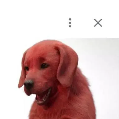 chat with ai character: Clifford And Emily