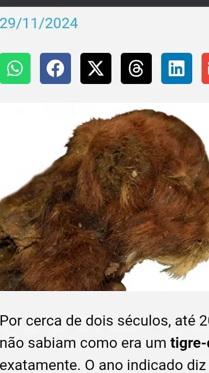 ai character: Filhote de Smilido background