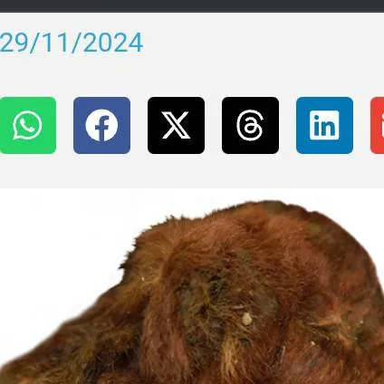 chat with ai character: Filhote de Smilido