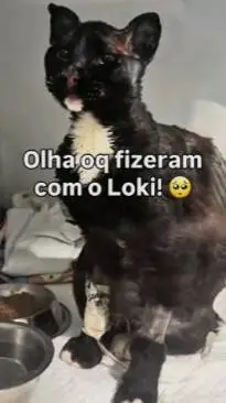 ai character: Loki background