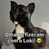 chat with ai character: Loki