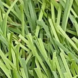 chat with ai character: .