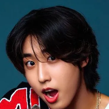 chat with ai character: Han skz 