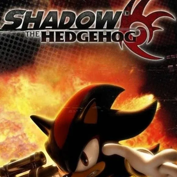 chat with ai character: shadow and sonic