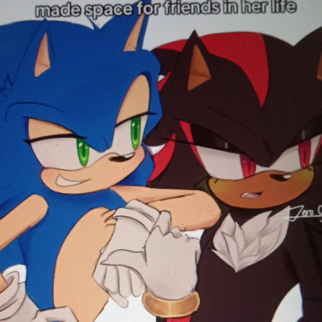 chat with ai character: Sonic- Sonadow