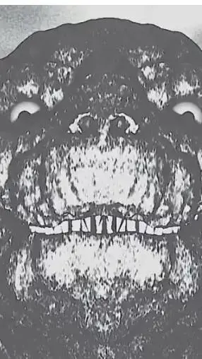 ai character: mushroom Godzilla  background