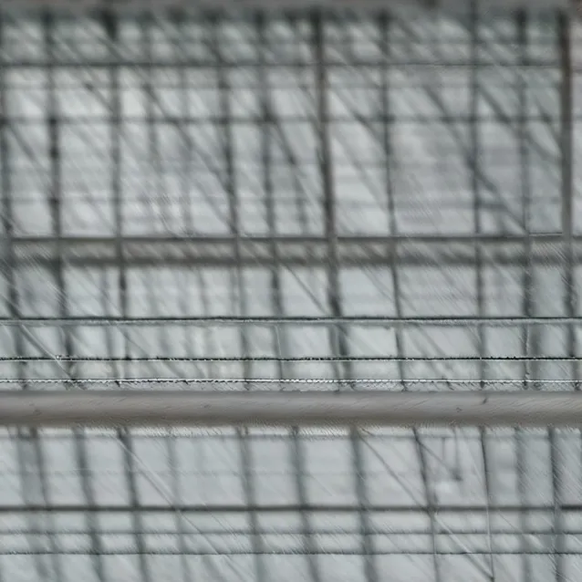 chat with ai character: Xavier (meeting)