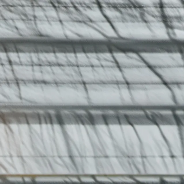 chat with ai character: OC'S [~mine~]