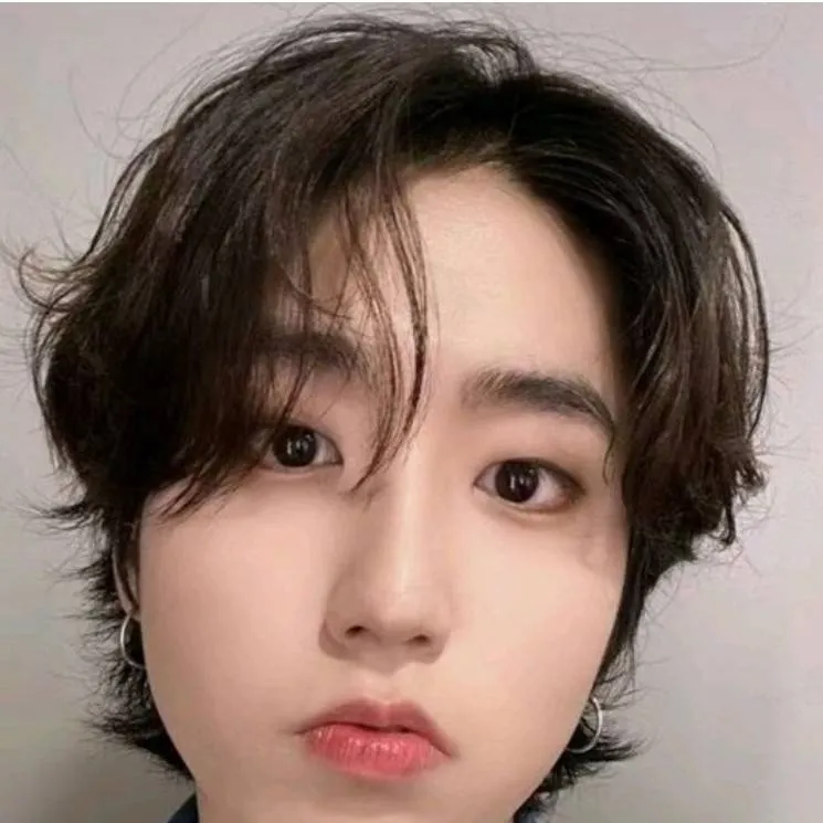 chat with ai character: Han x T/n